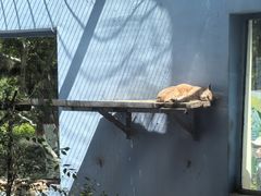 -青藏高原野生动物园