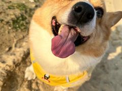 -纳吉亚猫专科动物医院·北北分院