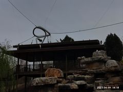 -太原动物园