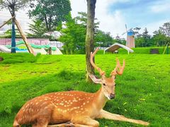 -盈香心动乐园