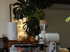 -本無咖啡·BeanWood Coffee