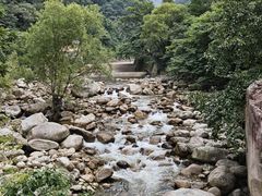 -陕西省红河谷森林公园