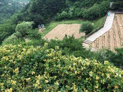-云峰山自然风景区
