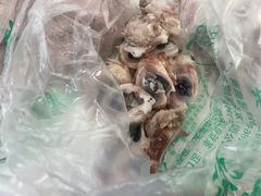 -洪记白水羊头(天坛店)
