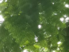-白水寺森林公园