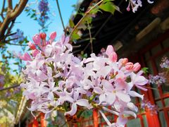 -潭柘寺景区