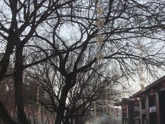 -大慈恩寺(大雁塔)