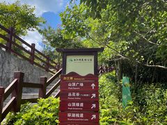 -广州白江湖森林公园