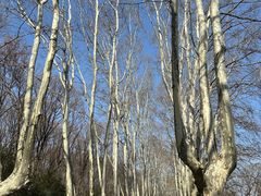 -钟山体育运动公园
