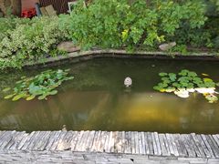 -南通中心濠河风景区圆融广场诺富特酒店