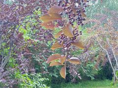 -长春公园(普阳街道)