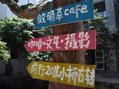-小洲村