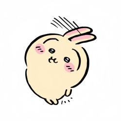 -WAVE SODA摄影工作室