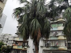-张钰强中医正骨推拿连锁(唐家人才公寓店)