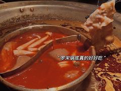 -新哥老官·畅吃123·美蛙世界(苏宁广场店)