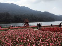 -广州市石门国家森林公园