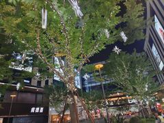 -龙湖重庆时代天街