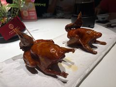 -侨美·唐荔园·40年地道粤菜