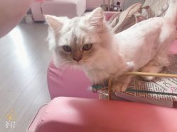 -Beauty Nails 美甲美睫皮肤管理
