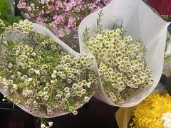 -豆豆花艺(新光天地店)