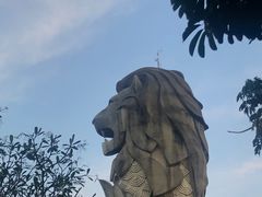 -圣淘沙天际线斜坡滑车