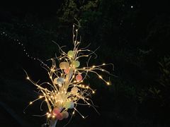 -小赵小吃(城西总店)