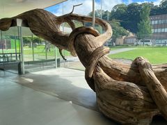 -金泽21世纪美术馆