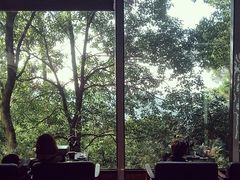 -南山植物园