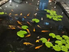 -大和洗浴休闲会所(宏大广场店)