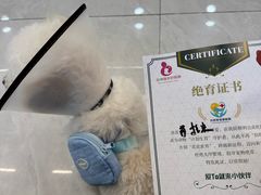 -小伙伴宠物医院·CT·骨科·眼科(高新店)