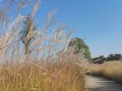 -汉长安城未央宫国家考古遗址公园