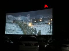 -枫花园汽车电影院(朝阳公园店)