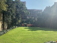 后院草坪-福1015(愚园路店)