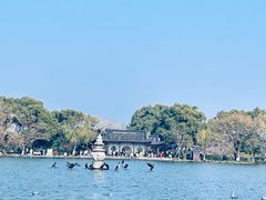 -家烧面馆【南山路知名经典面食】