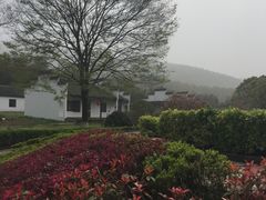 -陶祖圣境风景区