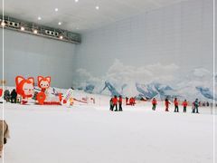 -哈尔滨热雪奇迹
