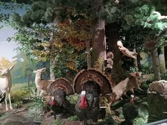 -陕西自然博物馆