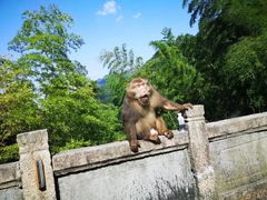 -九华山风景区