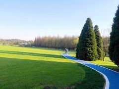 -宜兴龙背山森林公园