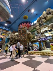 -卡通尼·Safari非洲探索乐园·生日会(金桥国际商业广场店)