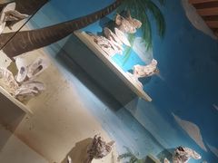 -蚝抵食·湛江生蚝(湾北路店)