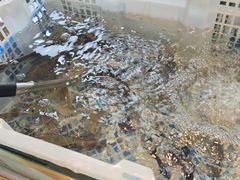 -争先鲜·蒸汽海鲜自助·鲜切牛肉