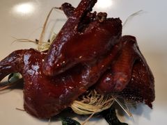 贡椒乳鸽王-南堂館川菜文化餐厅(天府店)