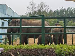 -秦皇岛野生动物园