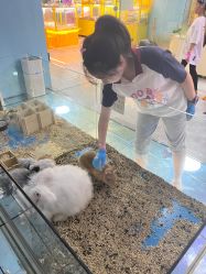-神奇动物撸宠馆·羊驼·小浣熊·异宠(豫园店)