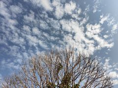 -洋湖国家湿地公园