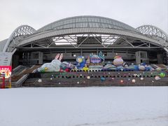 -沈阳奥体冰雪嘉年华