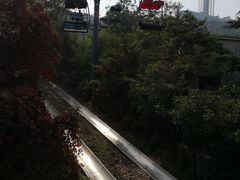 -富斯特索道