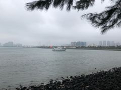 -万绿园