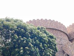 -J Create城市露营咖啡·简餐·宠物(上海动物园店)